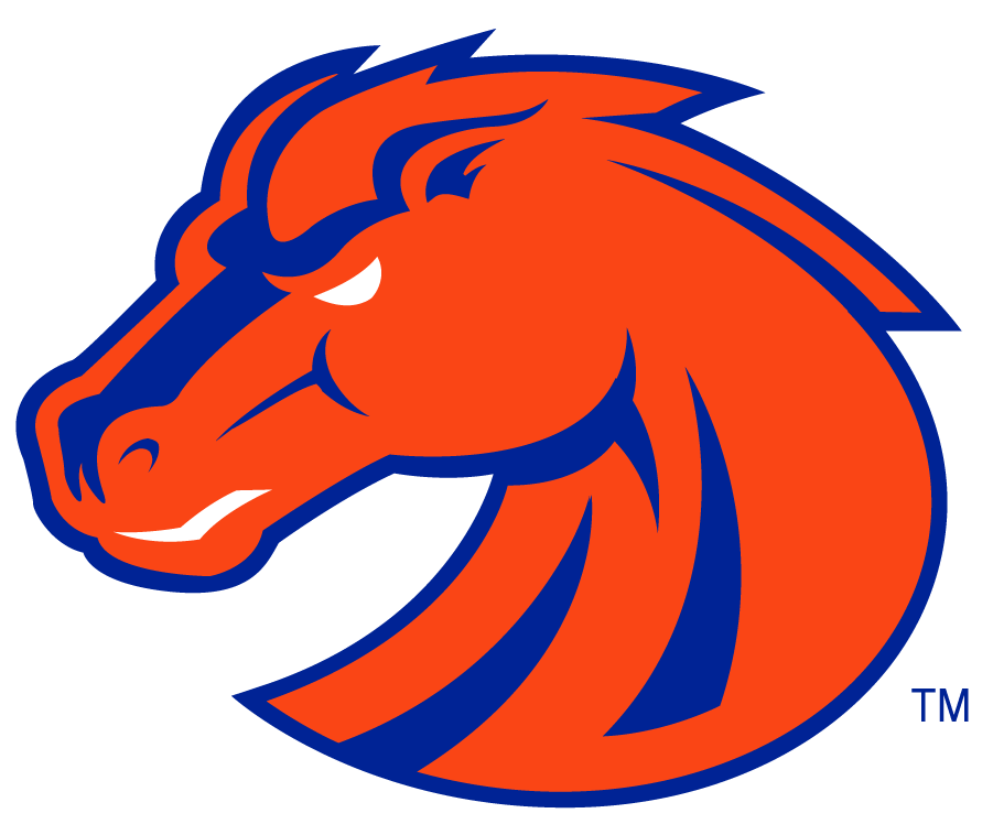 Boise State Broncos 2002-2012 Secondary Logo v4 diy iron on heat transfer